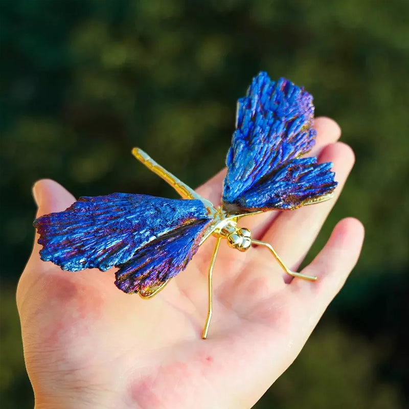 Aura Tourmaline Kyanite Dragonfly